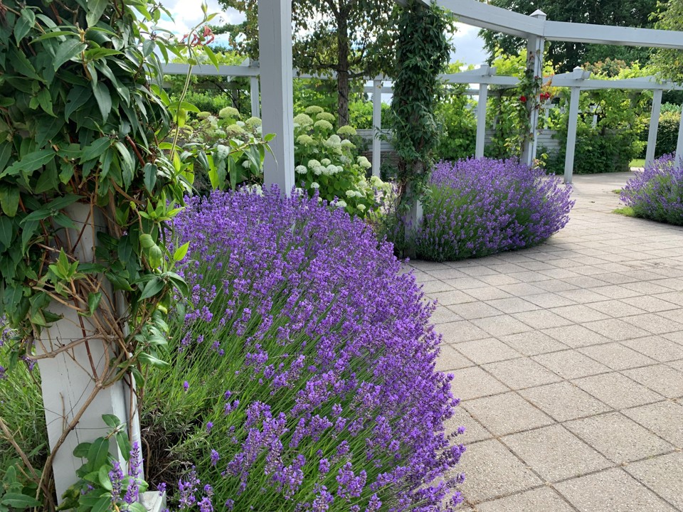 Haven ved Hospice Fyn